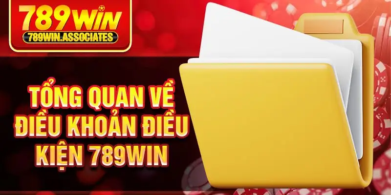 Tổng quan về điều khoản điều kiện 789win